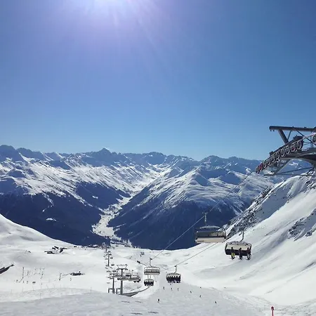 Laret, Ginseng Nr 12 达沃斯