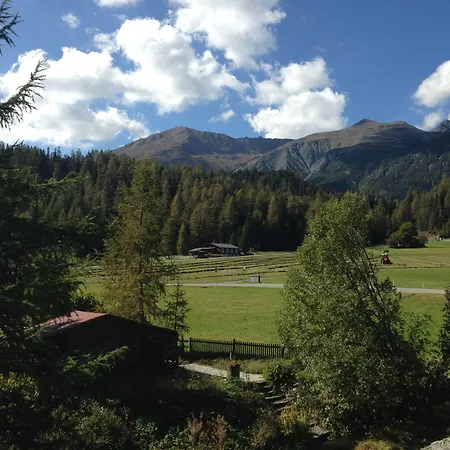 Laret, Ginseng Nr 12 达沃斯