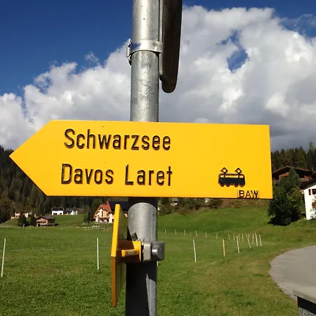 Ginseng * Davos