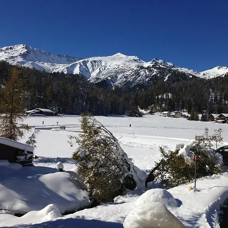 Laret, Ginseng Nr 12 ダヴォス・プラッツ