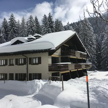 Laret, Ginseng Nr 12